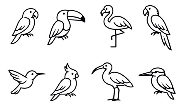 Minimalist line art tropical bird set featuring exotic species for nature and wildlife designs