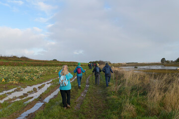 Randonneurs seniors le long du Jaudy - Plougrescant Bretagne