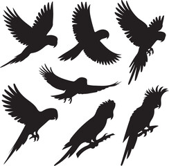 Fototapeta premium Parrots silhouette vector set.