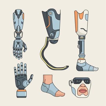 Technological limbs: An array of cutting-edge prosthetic limbs, showcasing innovation in medical technology, designed for improved mobility and function.