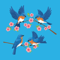 Naklejka premium Colorful vector art showing four blue birds with orange breasts perched and flying on cherry blossom branches with bright blue background