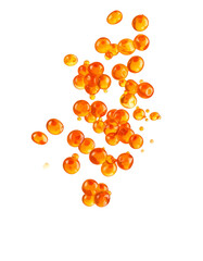 Red caviar salmon roe falling with parsley