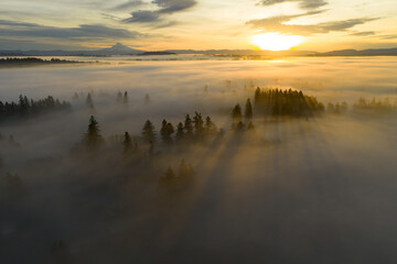 A blanket of sunlit fog drifts through the Willamette Valley just south of Portland, Oregon. The Pacific Northwest is known for its scenic forests, waterfalls, and rivers, as well as its wet weather.