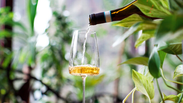 White wine being poured into a glass with soft natural light and green foliage in the background, symbolizing freshness, celebration, and refined lifestyle moments in luxury restaurant with greenery.