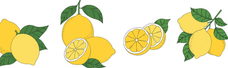 Fresh yellow lemon fruit set with green leaves, sliced citrus halves, hand drawn sketch illustration isolated on white background, organic.