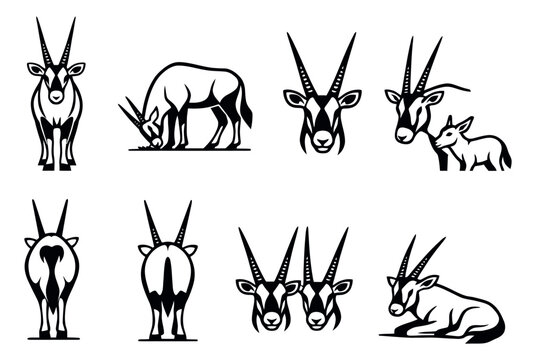Graphic oryx set featuring adult and young oryx in diverse poses for wildlife designs