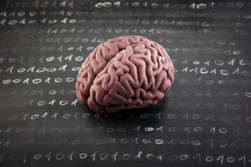 Obraz premium Human brain model and binary code drawn with chalk on worn scholl blackboard. Science, learning or data loss concept. 