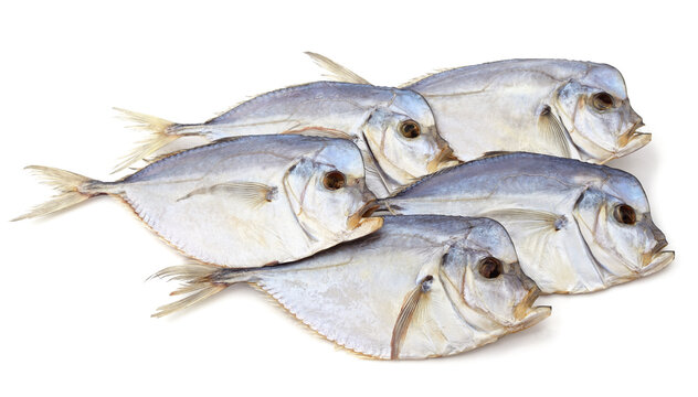 Group of dried vomer fish on a white background.