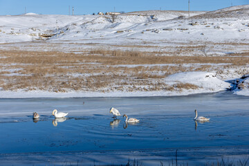 Obraz premium Winter Landscape in the Republic of Moldova with Snowy Fields and Rural Countryside