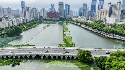 Fototapeta premium Urban Bridge Over River with Green Vegetation and City Skyline
