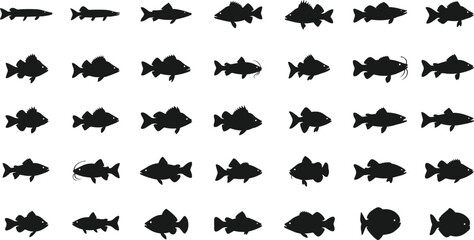 Fototapeta premium Collection of various fish silhouettes for design and educational use