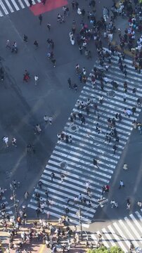 Shibuya Scramble Crossing, Tokyo, crowd of pedestrians and tourists walking on pedestrian crossing intersection during rush hour, Shibuya Station, Tokyo, Japan, passer-by walk in a sunny day