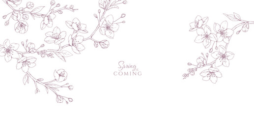 Obraz premium Cherry blossoms. Spring background with flowers and brunch. Detailed botanic floral collection for Valentines day invitation, wallpaper