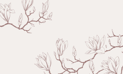 Fototapeta premium Magnolia blooming. Spring background with flowers and brunch. Detailed botanic floral collection for Valentines day invitation, wallpaper