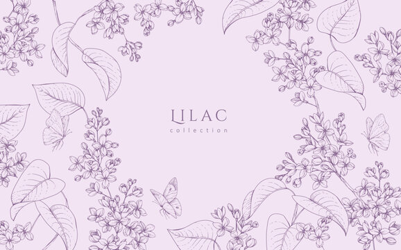 Lilac blooming. Spring background with flowers and brunch. Detailed botanic hand drawn ink illustration for Mothers Day invitation or wedding save the date