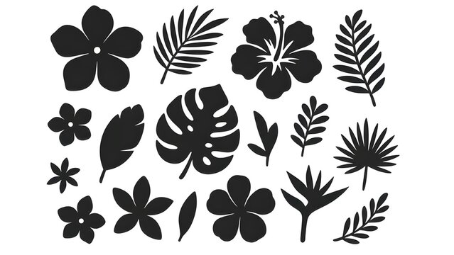 Collection of tropical leaves and flowers in black silhouette