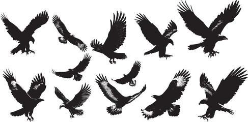 Fototapeta premium Flock of black and white bald eagles flying in formation against white background minimalist wildlife illustration 