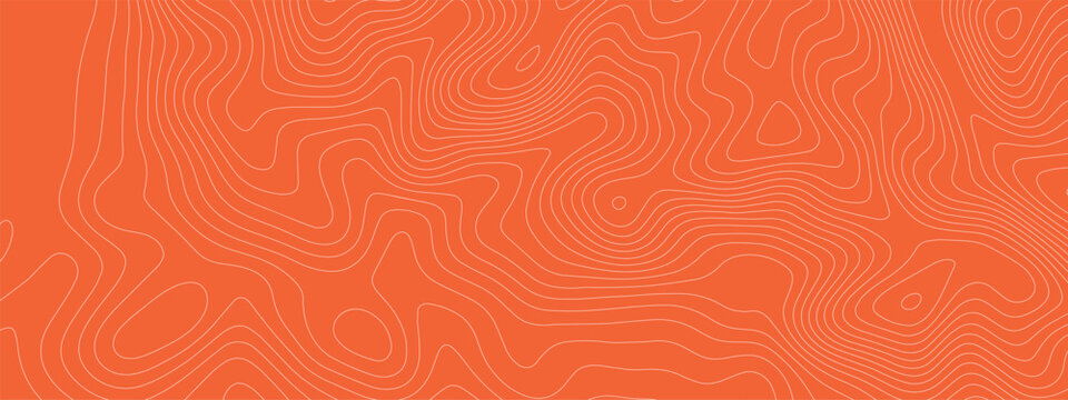 Salmon meat sushi and bg tuna fish with pattern texture abstract. Peach strip background and salmon orange sea with line wave meat. Food salmon structure and graphic bg label with geometric.