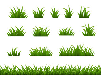 Fototapeta premium set of green grass
