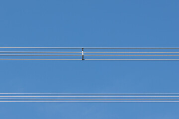 Bau neuer Stromtrassen in Bayern mit Viererb&uuml;ndelleiter oder 4‑fach‑B&uuml;ndelleiter