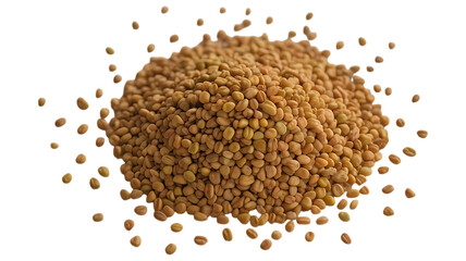 Fenugreek seeds pile isolated image on transparent
