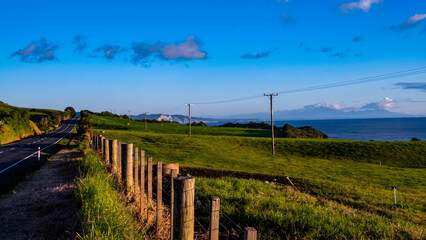 Obraz premium New Zealand Coastal Farmland with Wooden Fence and Ocean View