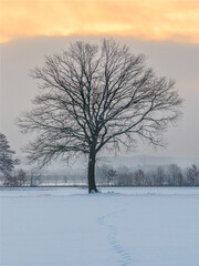 Winter Sonnenaufgang