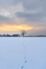 Winter Sonnenaufgang