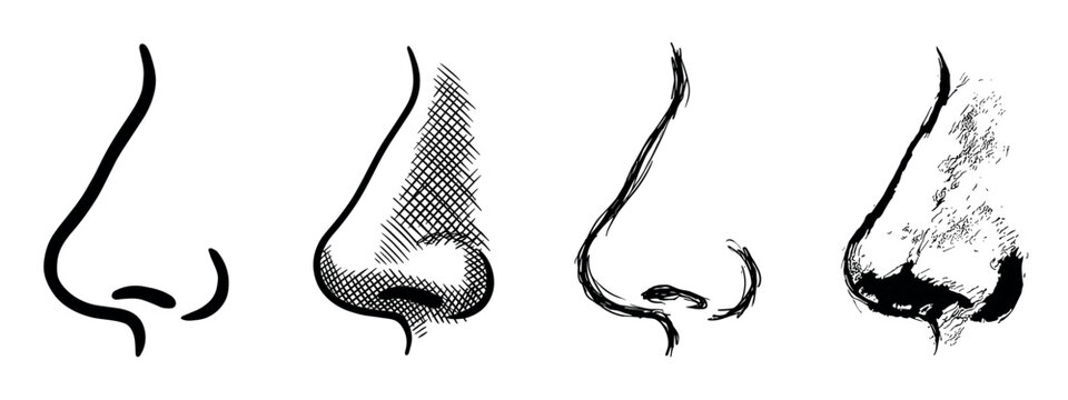 Four hand-drawn human nose illustrations in profile view showing different sketching and ink drawing techniques like line art, cross-hatching, and scribbling in a graphic monochrome style