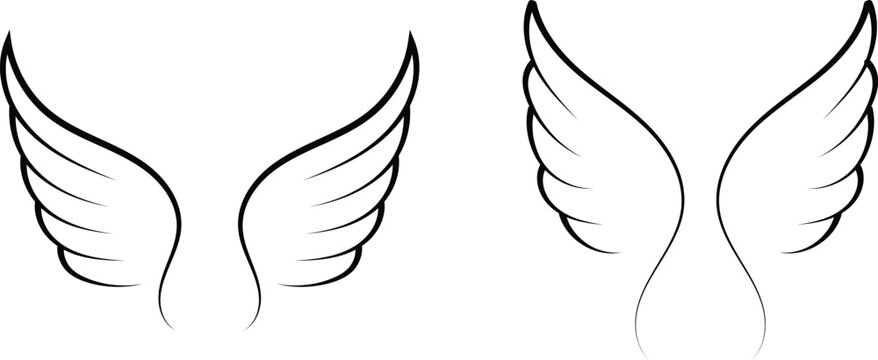 Black and white hand drawn line art vector of angel wings and bird feathers