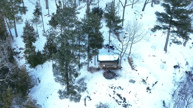Aerial view of a lean-to shelter surrounded by snow-covered forest in the Adirondack Mountains on a winter day.