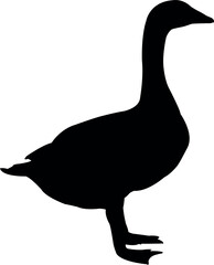 a duck standing body silhouette vector