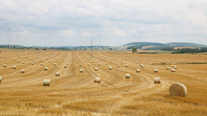 champs de bl&eacute; au mois de juillet, bottes de paille apr&egrave;s les moissons d'&eacute;t&eacute;