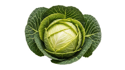 Obraz premium Fresh green cabbage head, isolated on white background. Crisp, layered leaves offer a healthy, versatile ingredient for salads, coleslaw, and cooked dishes.