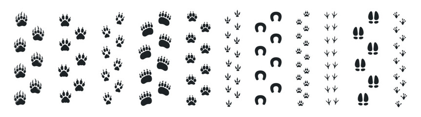 Animal footprints vector set, paw prints and wildlife tracks collection, dog cat bird horse deer silhouettes, simple flat trail icons on transparent background