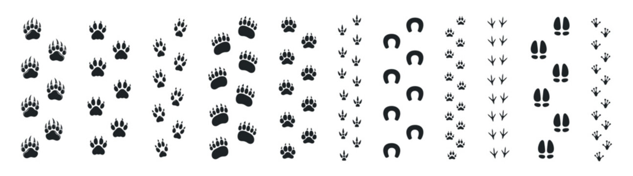 Animal footprints vector set, paw prints and wildlife tracks collection, dog cat bird horse deer silhouettes, simple flat trail icons on transparent background