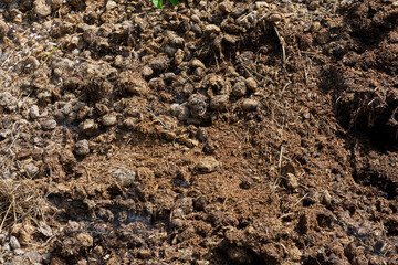 An abstract image of the texture of composting horse manure.