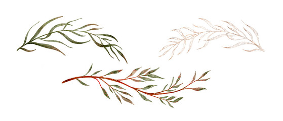 Elegant Wreath For Invitations. Delicate Watercolor Branches Forming Gentle Circular Wreath Design