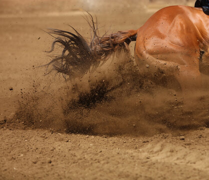A close up action  photo of a horse sliding in the dirt.