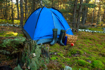 blue camping tent set up on a mossy forest clearing with picnic items nearby. soft sunlight filtering through trees creates a peaceful outdoor camping scene with nature, rest and slow living atmospher