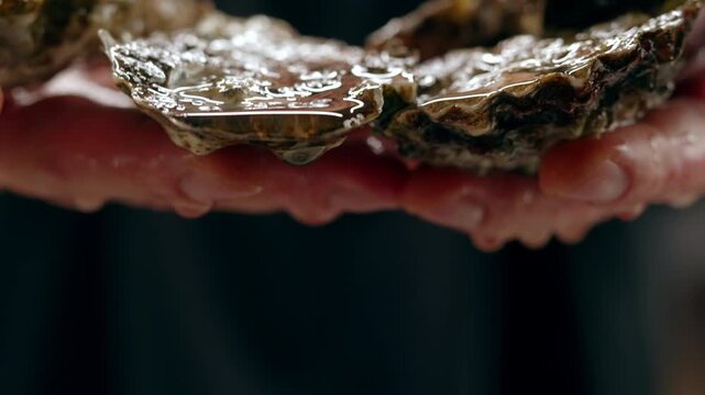 Fresh raw oysters with ice, french restaurant, mediterranean Healthy sea food, gourment luxury cuisine. Close up of seafood restaurant. 