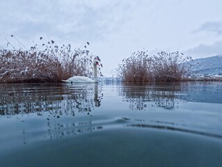 winter landscape with lake