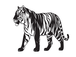 Fototapeta premium Minimalist black and white tiger vector illustration