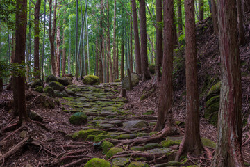 Obraz premium 日本の風景・夏 世界遺産 熊野古道（伊勢路） 松本峠