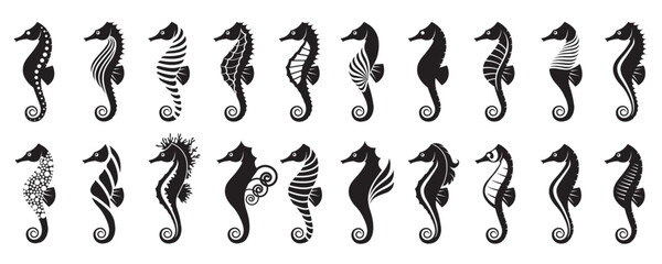 collection of sea horses on isolated white background © Alexkava