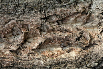 거친 목재 표면에 시간의 흔적이 남아 있는 추상적인 배경 