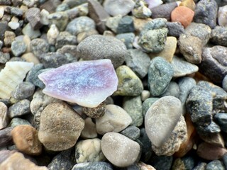 Extreme close up shows multicolored pebbles and one shell fragment covering a sandy beach