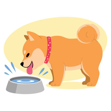 Illustration of a dog drinking water simple animal scene representing pet care hydration health and daily life concept isolated artwork