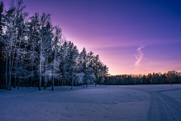 "Frozen Serenity: Purple Sunset Over a Snowy Nordic Forest" © Light&Lens