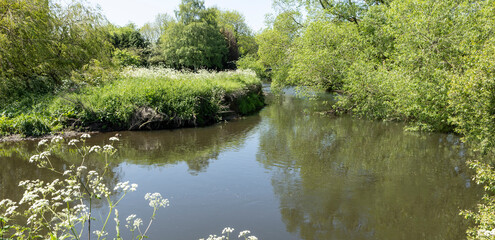 Tranquil River Scene With Lush Greenery And Sunny Reflections In A Rural Landscape